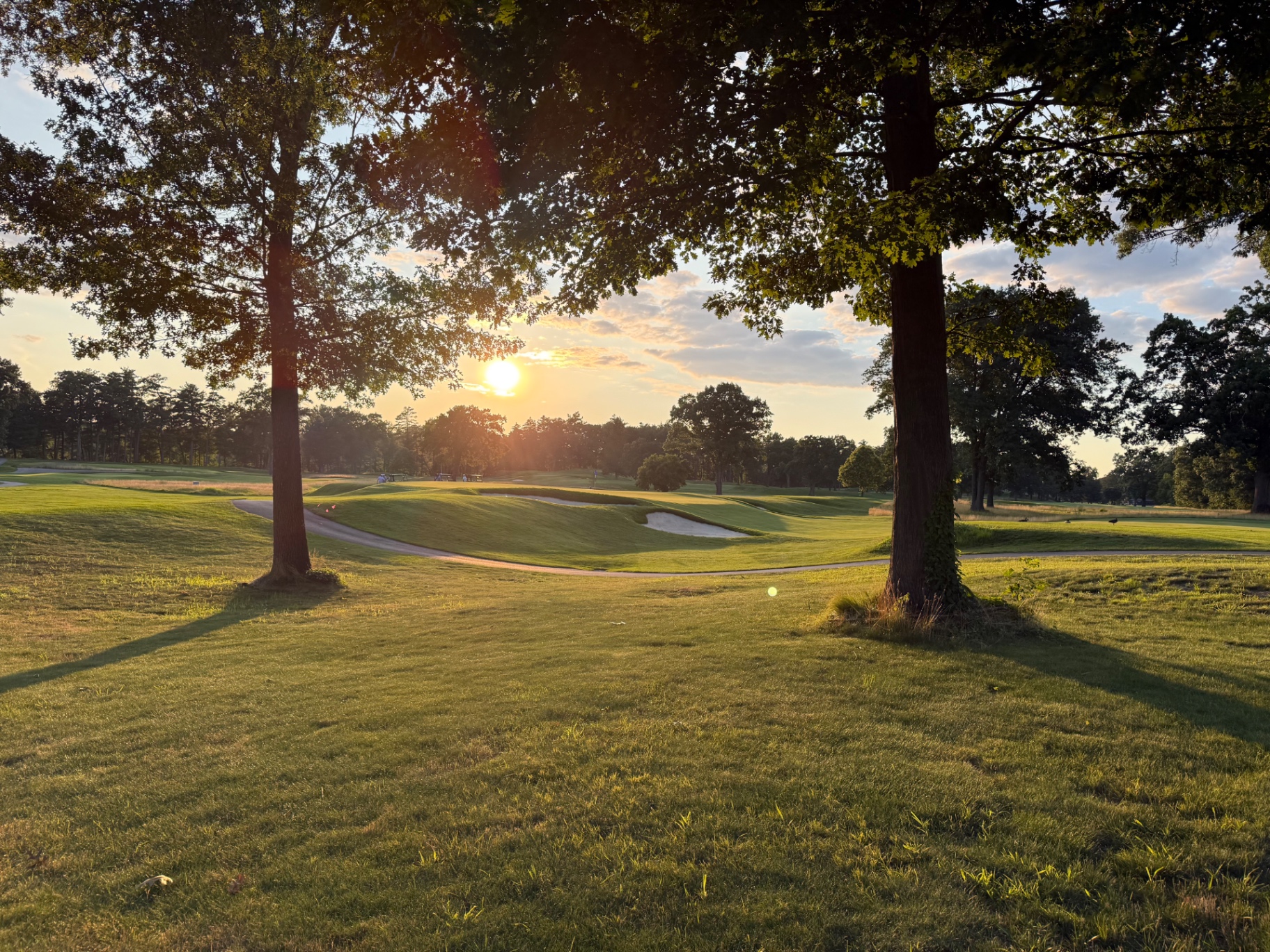 Vesper Country Club fairway at sunset, framed by trees and bunkers